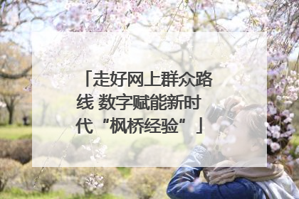 走好网上群众路线 数字赋能新时代“枫桥经验”